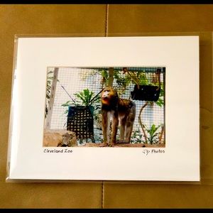Matted Digital Photo: “Cleveland Zoo”